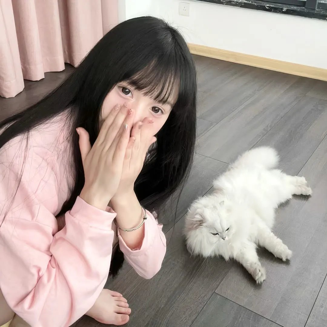 银狐