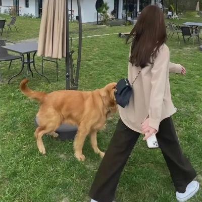 老婆大人俱乐部